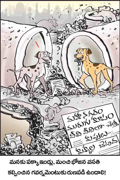 డైలీ కార్టూన్ 20-08-2025