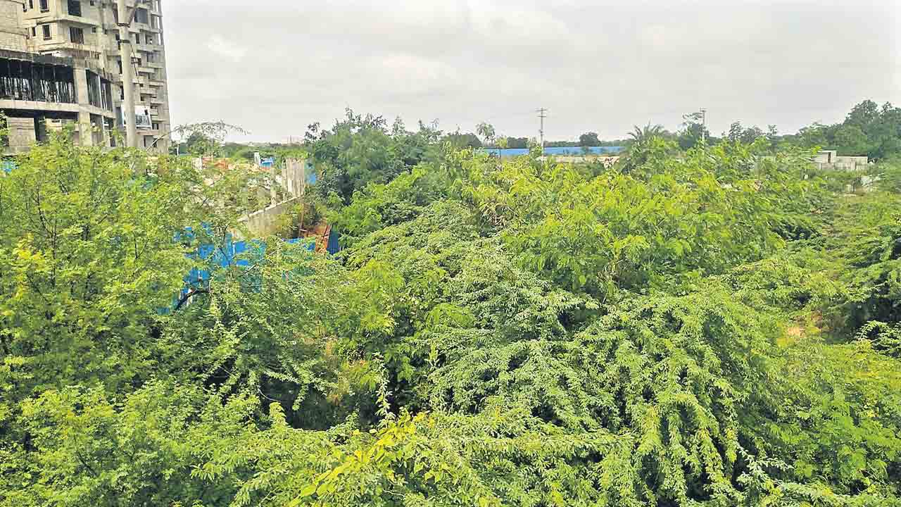 వాగులు మాయం.. !