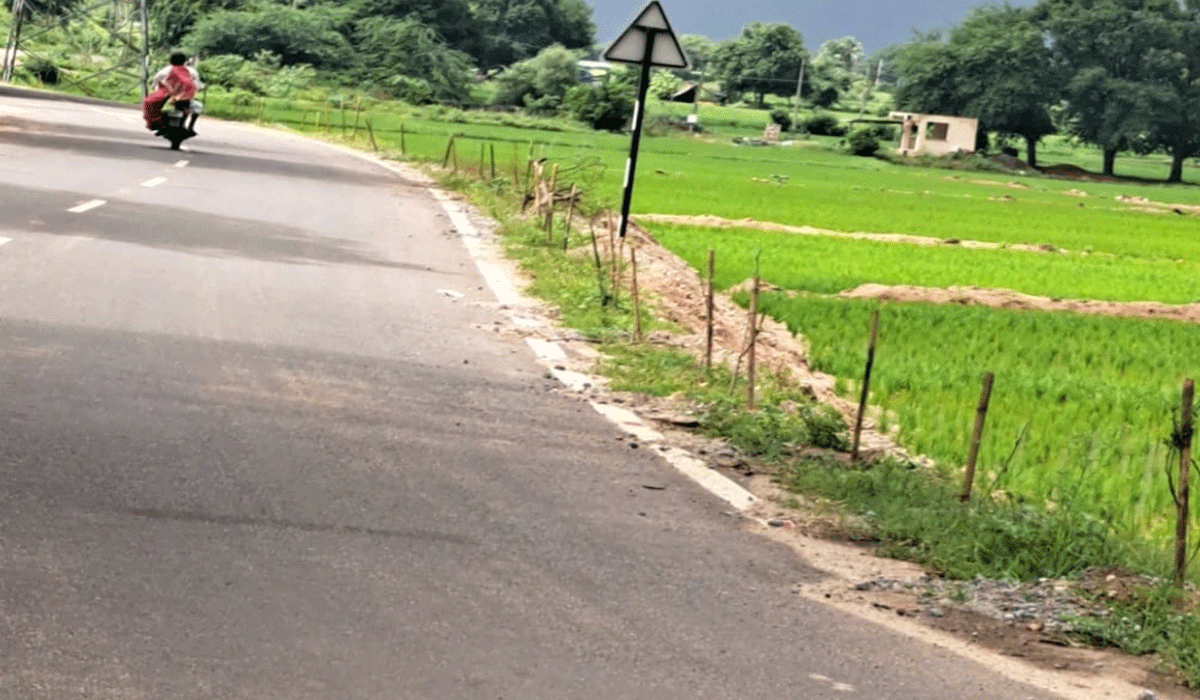  Karimnagar | మొక్కలు నాటారు.. రక్షణ మరిచారు.. జిల్లాలో మొక్కుబడిగా వనమహోత్సవం