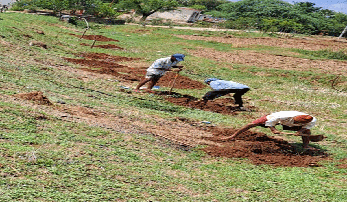 Vanamahotsavam | లక్ష్యం జాస్తి. ఆచరణ నాస్తి.. జిల్లాలో వనమహోత్సవం అంతంతే..!