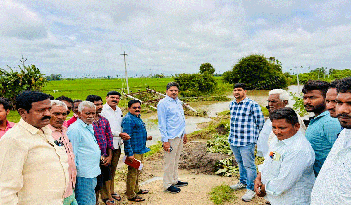 CES Chairman, Chikkala Rama Rao | వర్షాలు, వరదలతో సెస్ కు సుమారు రూ.50 లక్షల నష్టం.. సిరిసిల్ల సెస్ చైర్మన్ చిక్కాల రామారావు