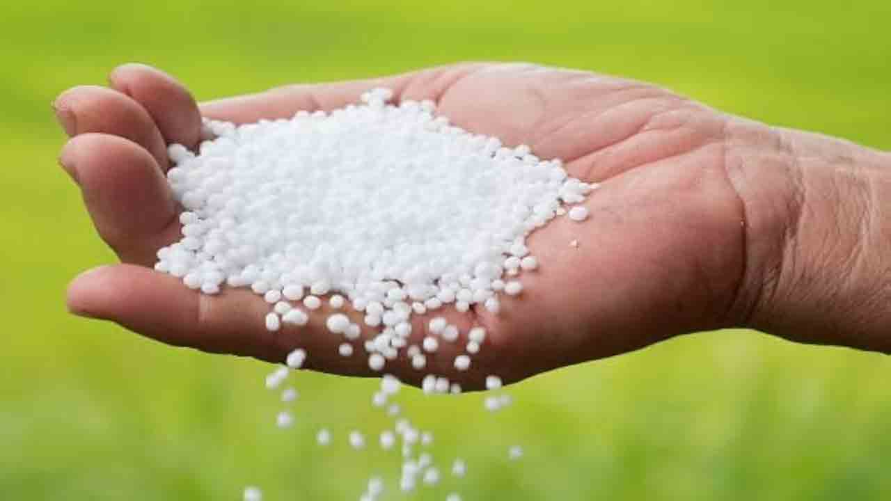 యూరియా కొరతపై దృష్టి పెట్టాలి