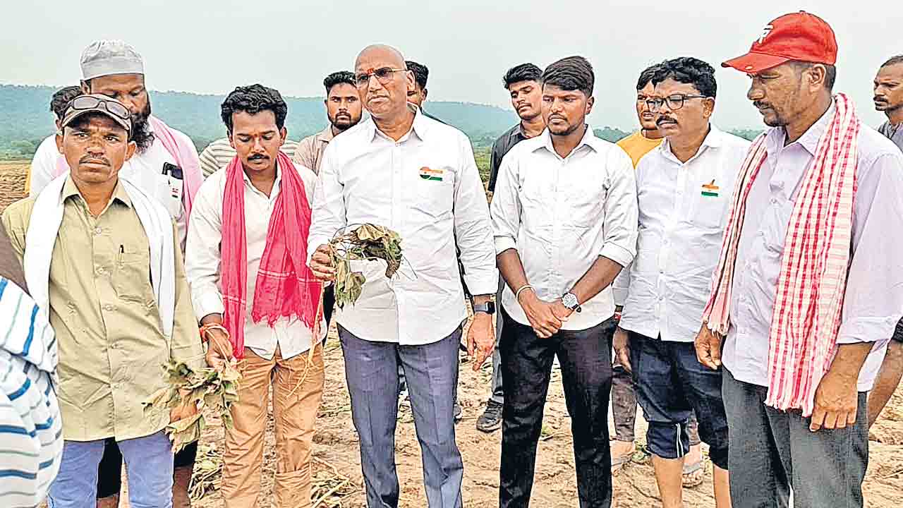 ఎకరాకు రూ. 30 వేల పరిహారమివ్వాలి