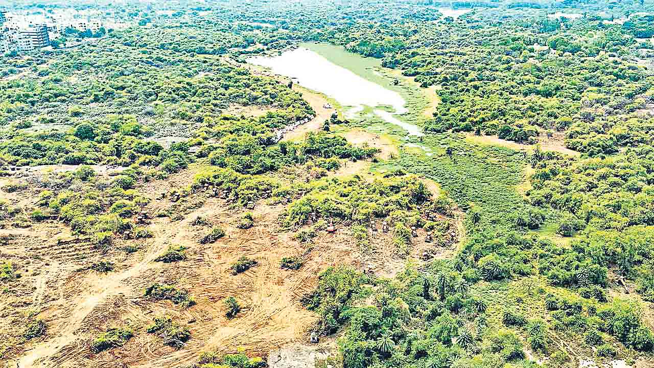 కంచ గచ్చిబౌలి అడవిని పునరుద్ధరించాల్సిందే