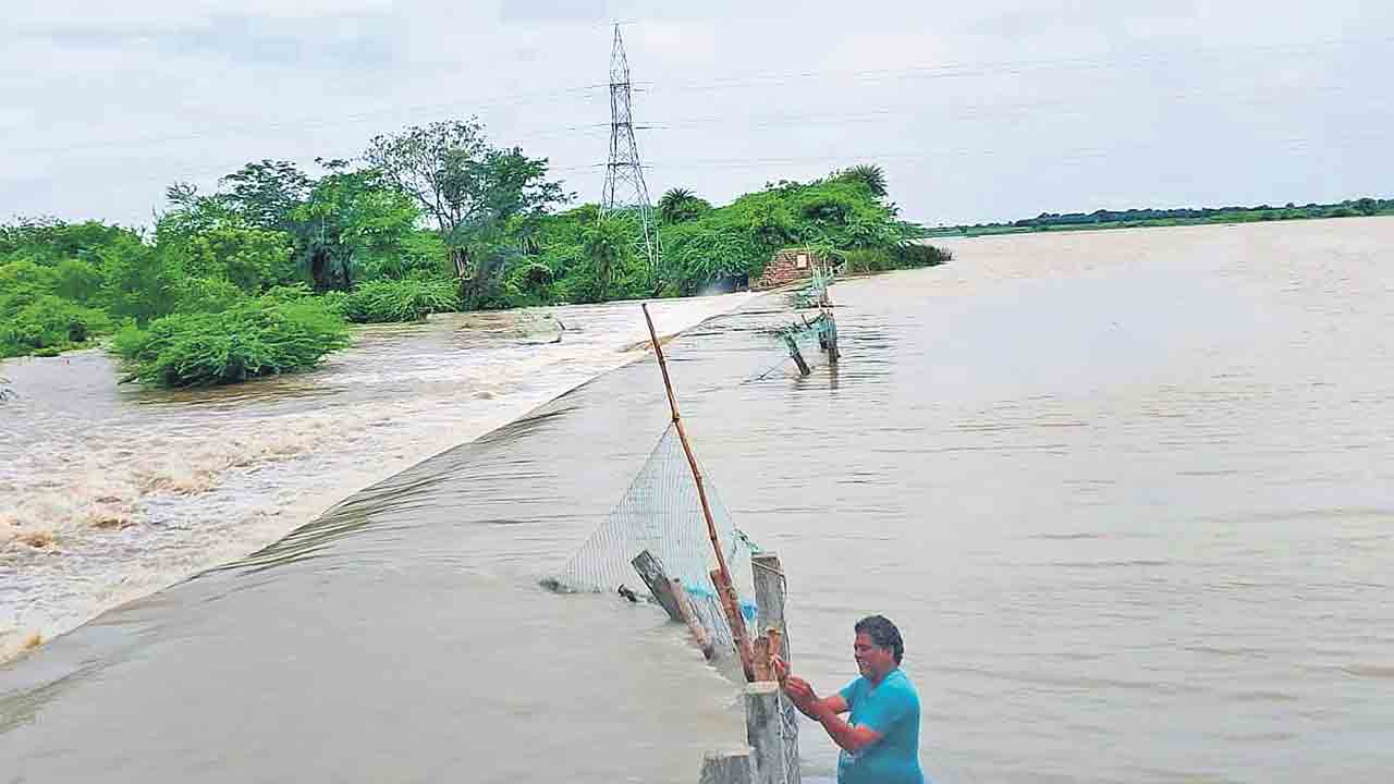 దంచికొట్టిన వాన..పలు జిల్లాల్లో భారీ వర్షాలు