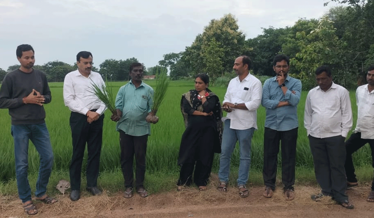 Nano urea | నానో యూరియాతో లాభాలు మెండు.. ఇఫ్కో రాష్ట్ర మేనేజర్ కృఫా శంకర్