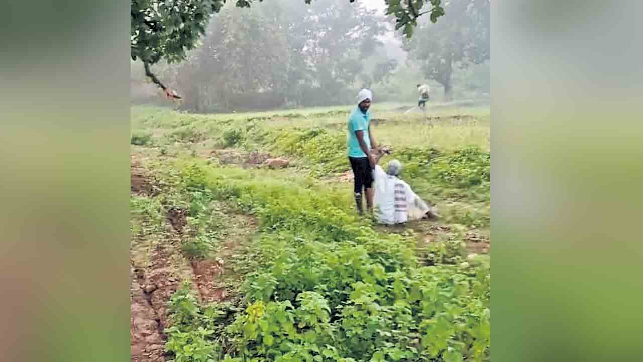పంటపై గడ్డిమందు స్ప్రే చేసిన ఫారెస్టు సిబ్బంది