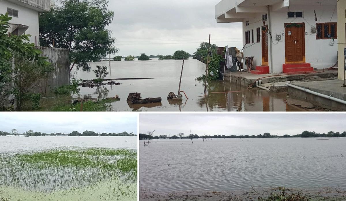 Floodwater | భారీ వర్షాలకు నీట మునిగిన పంటలు.. ఇండ్ల ముందుకు వచ్చి చేరిన వరద నీరు