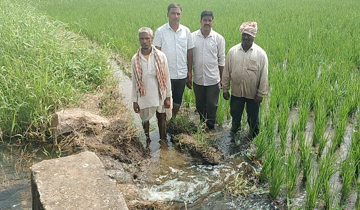 Damara pond shutter theft | కోటగిరి మండలంలో దామర చెరువు షట్టర్ చోరీ.. వృథాగా పోతున్న నీరు