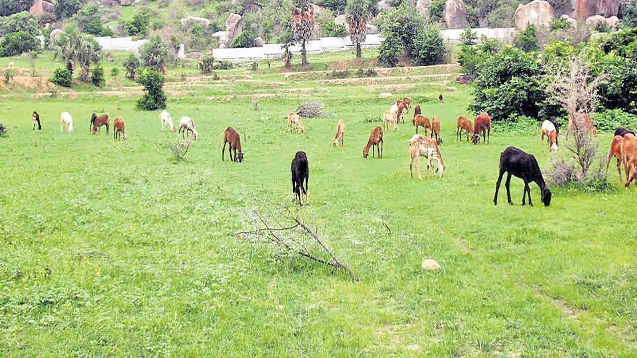 కార్యాలయాలన్నీ ఒకేచోట..