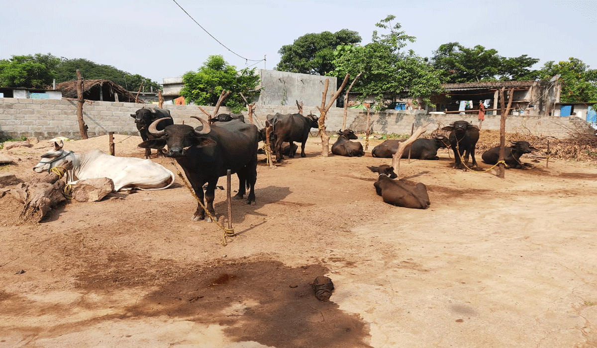 ODELA | గ్రామాల్లో మారిన జీవనశైలి.. కనుమరుగవుతున్న వృత్తులు