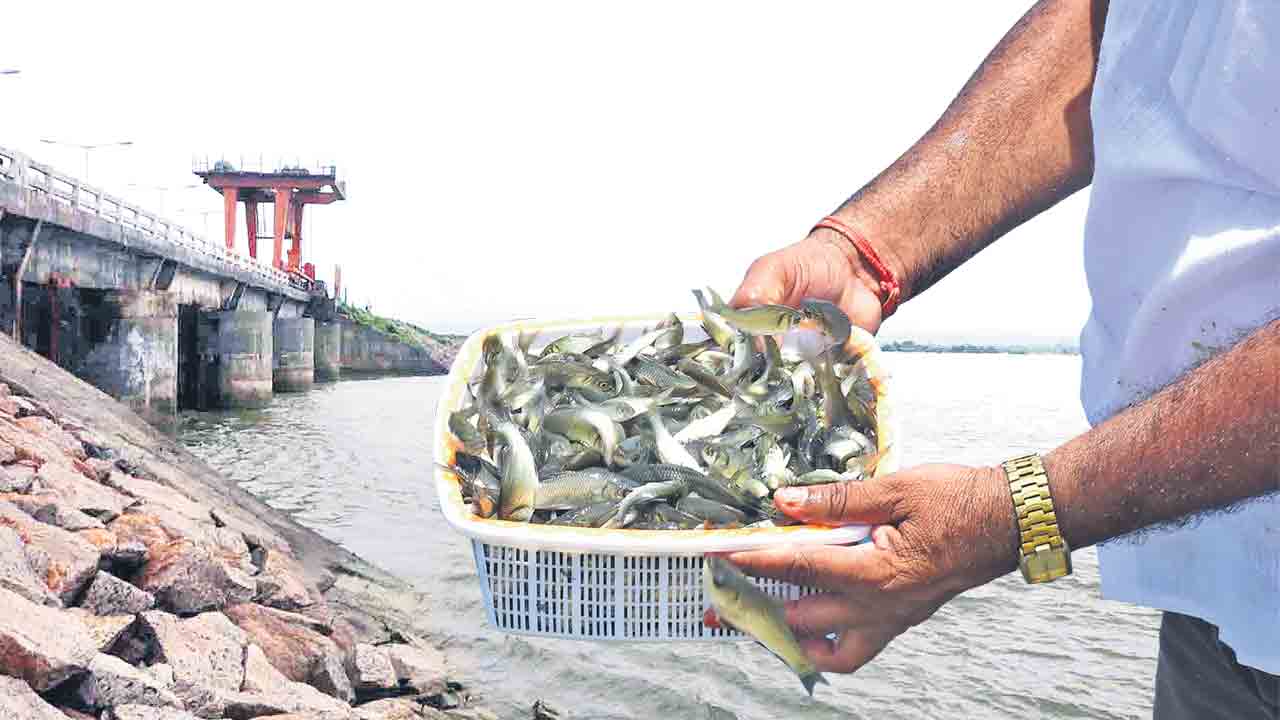 నీలి విప్లవంపై నిర్లక్ష్యం