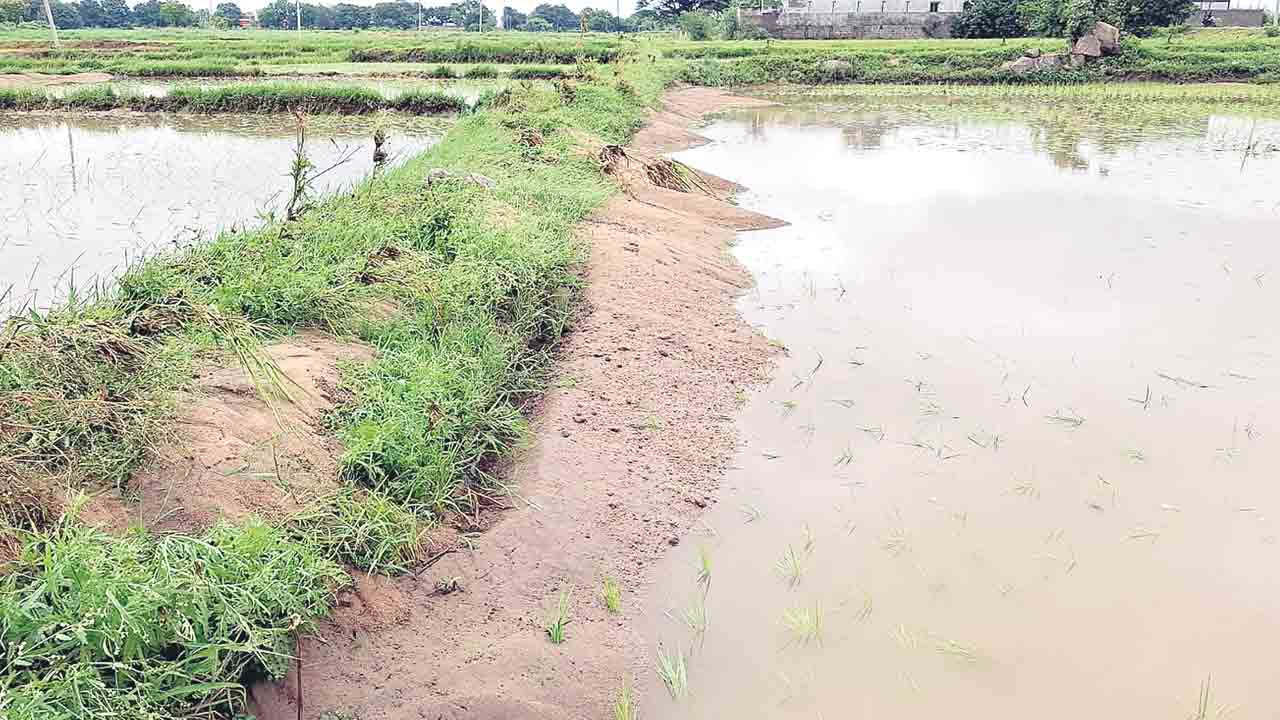 Adilabad
