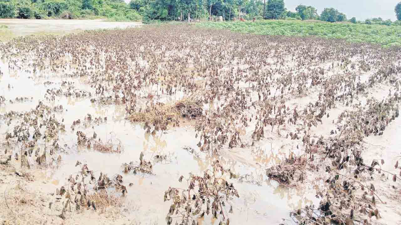 అన్నదాత.. గుండెకోత