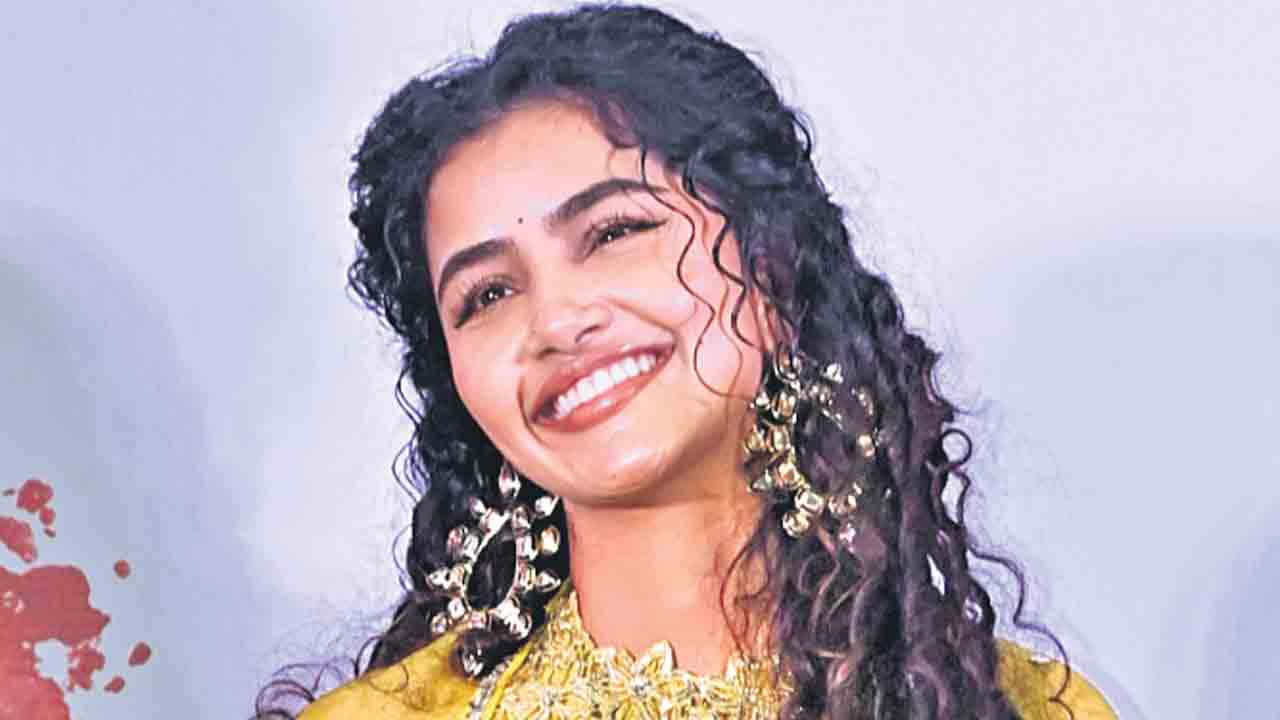 Anupama Parameswaran | క‌మ‌ర్షియ‌ల్ సినిమాల్లో వెయ్యి త‌ప్పులున్నా ప‌ట్టించుకోరు: అనుపమ పరమేశ్వరన్