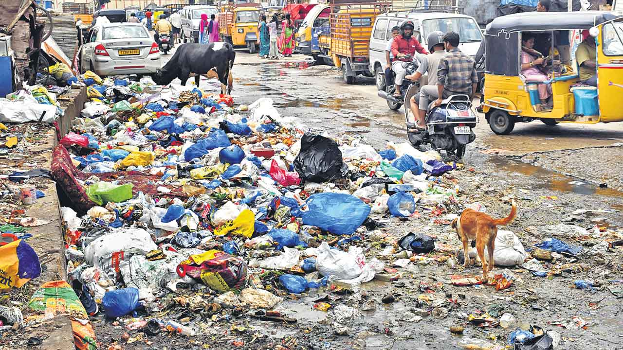 ఎక్కడి చెత్త అక్కడే!.. నగరమంతా కంపు.. కంపు