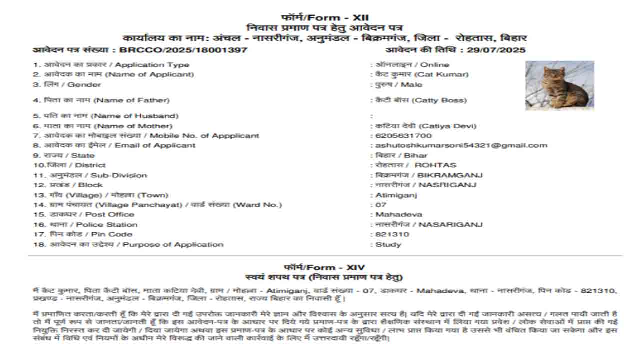 Cat Kumar | బీహార్‌లో నివాస ధృవీకరణ పత్రం కోసం.. ‘క్యాట్‌ కుమార్‌’ దరఖాస్తు