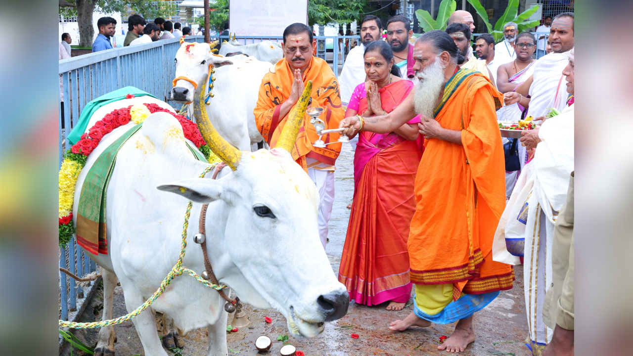 Srisailam | కృష్ణాష్టమి పర్వదినం.. శ్రీశైలంలో ఘనంగా గోపూజ..!