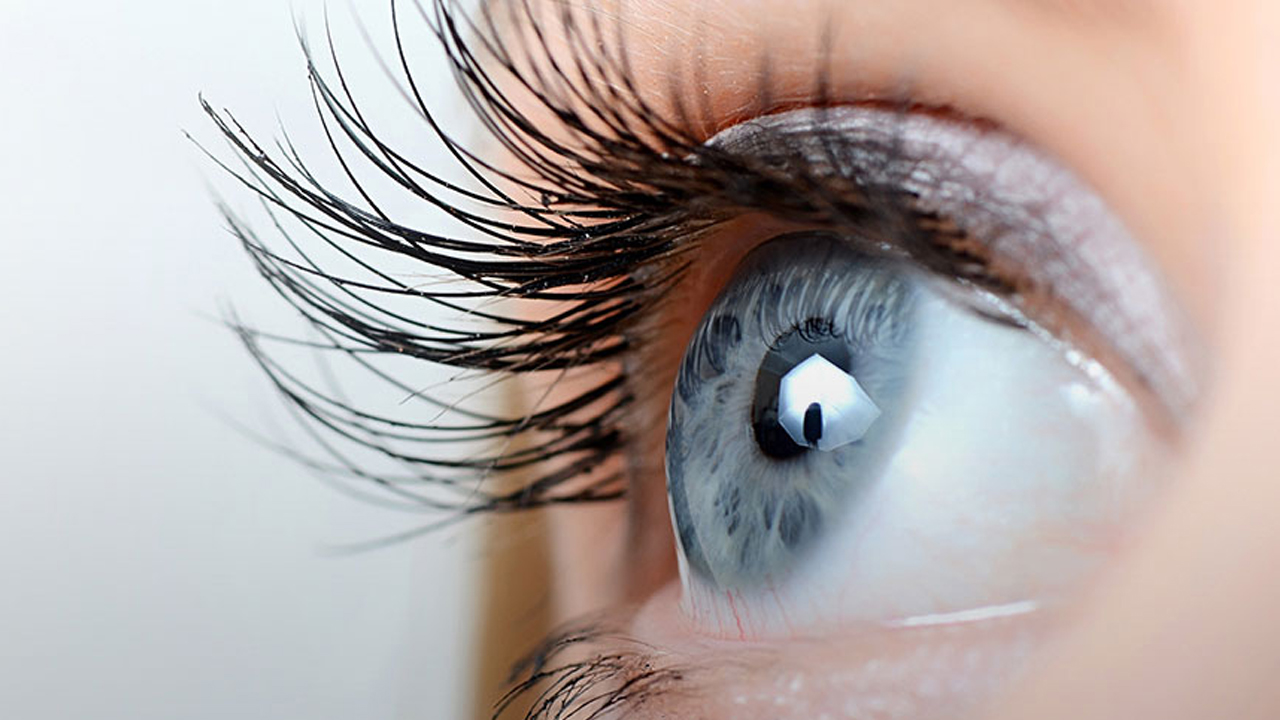 Five Eye Diseases | ఈ ఐదువ్యాధులతో కంటిచూపును కోల్పోయే ప్రమాదం..! చిన్న సమస్య అయినా నిర్లక్ష్యం వద్దు..!