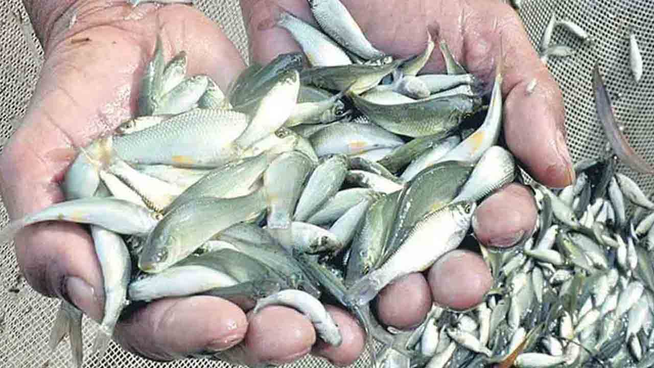 సమయం మించిసోయింది..!