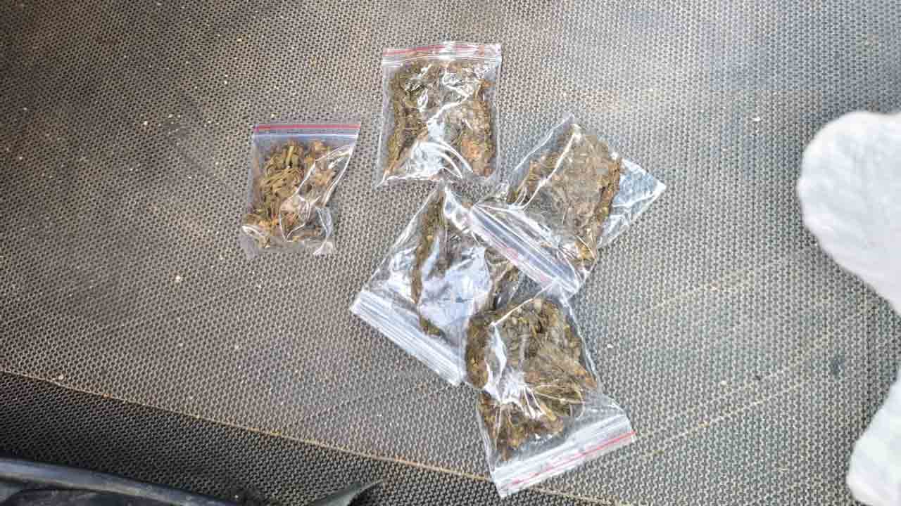 Ganja Seize 1