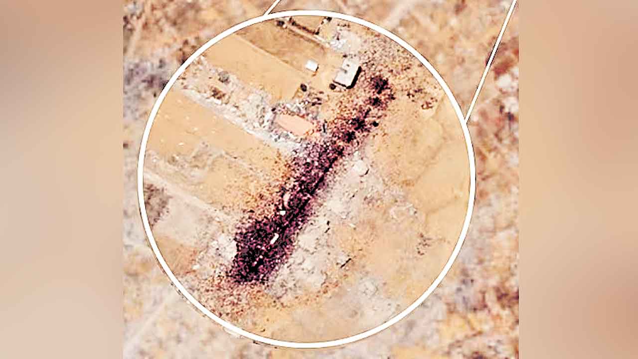 చీమలు కాదు మనుషులే