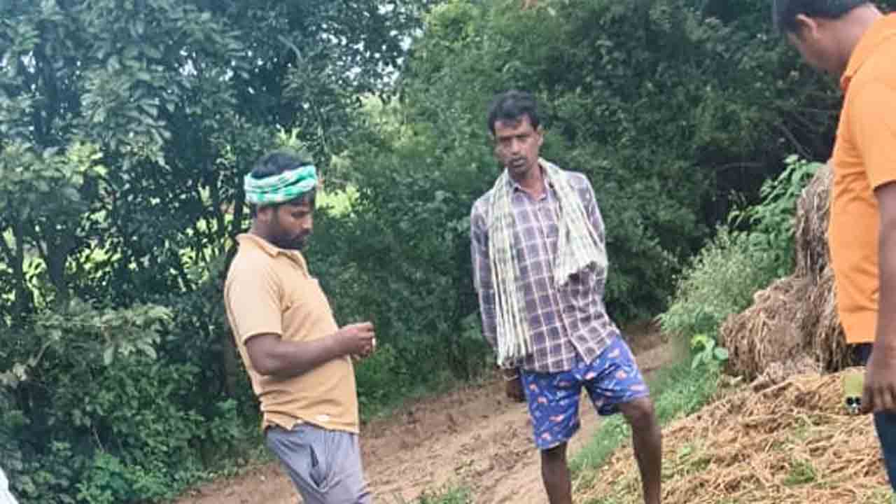 Goats | వరి పంటలో నీళ్లు తాగి.. విగతజీవులుగా మారిన మేకలు