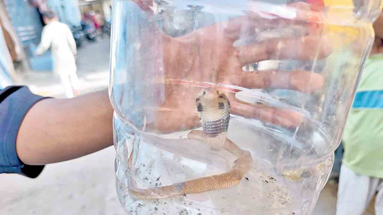 మూసీ పరీవాహక కాలనీలకు రక్షణ కరువు