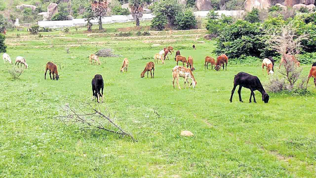 కార్యాలయాలన్నీ ఒకేచోట..