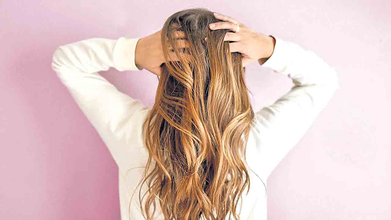 పొడిజుట్టుకు ప్యాకప్‌!