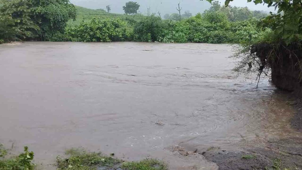Heavy Rains