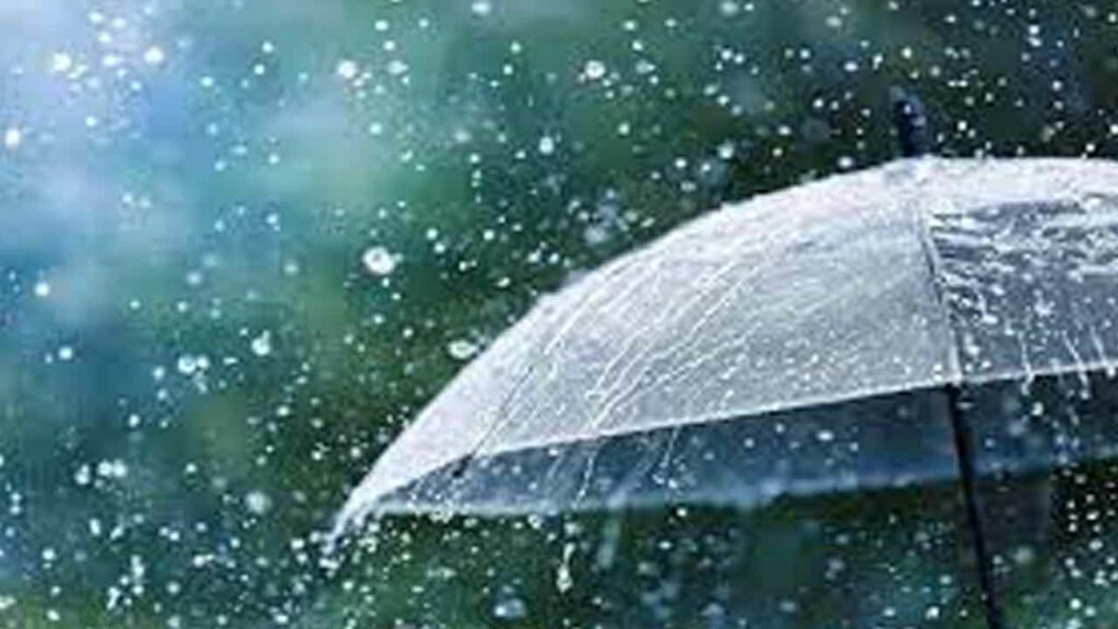 Heavy Rains