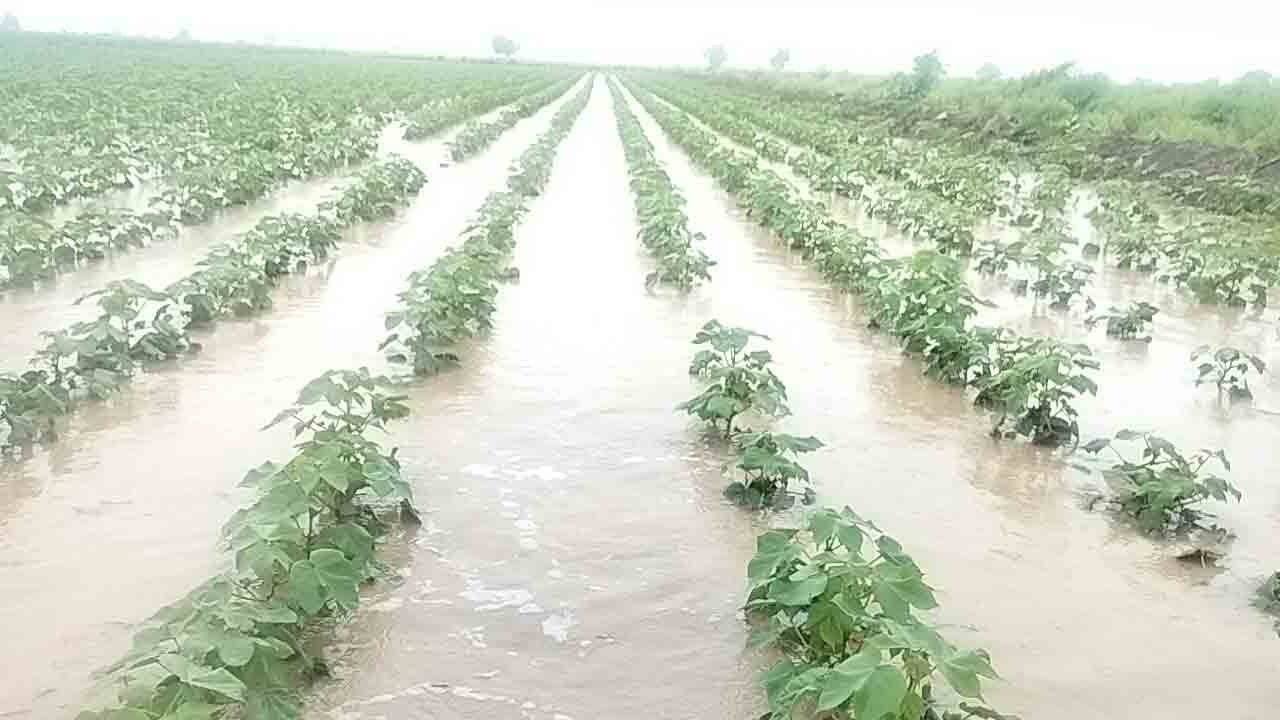 ముంచెత్తిన వాన