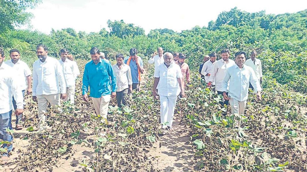 Jogu Ramanna
