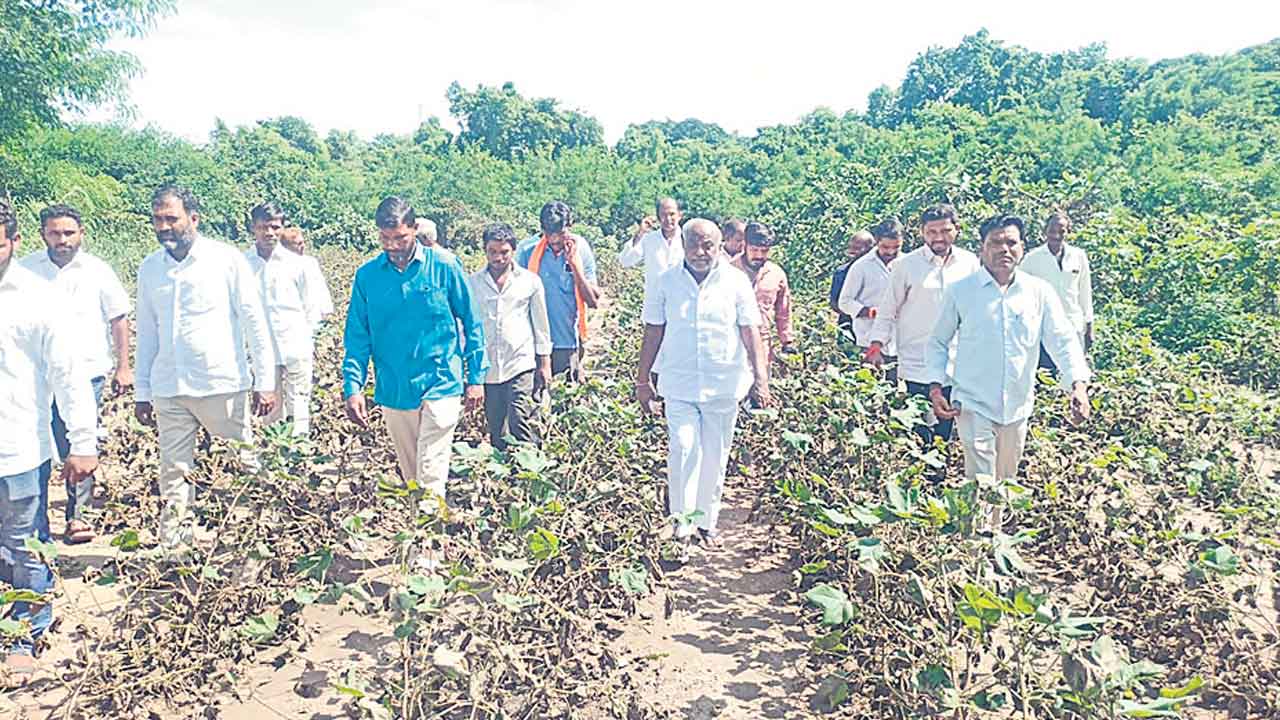 పంట నష్టపరిహారం చెల్లించాలి.. జోగు రామన్న