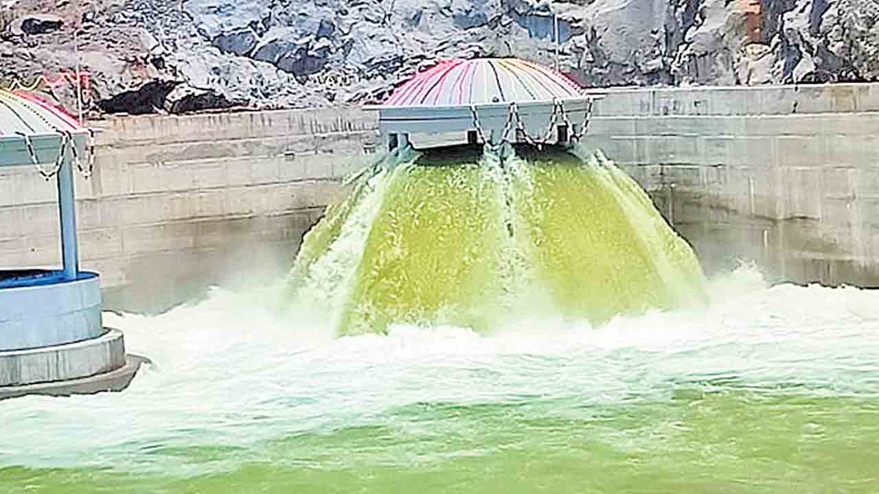 దోని సప్పుడు కాదు, దొయ్య పార్కమే..!