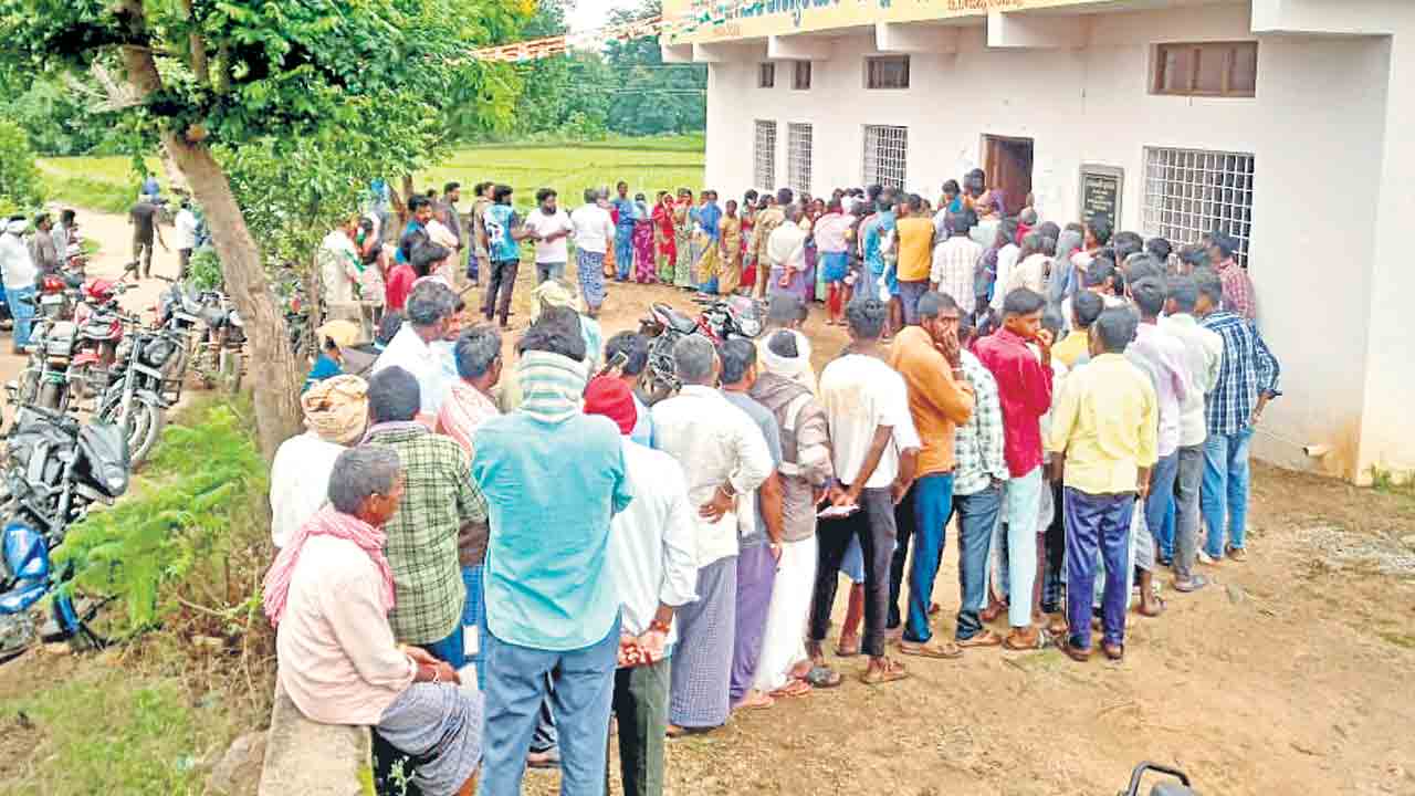 యూరియా గోస తీరేదెన్నడు?
