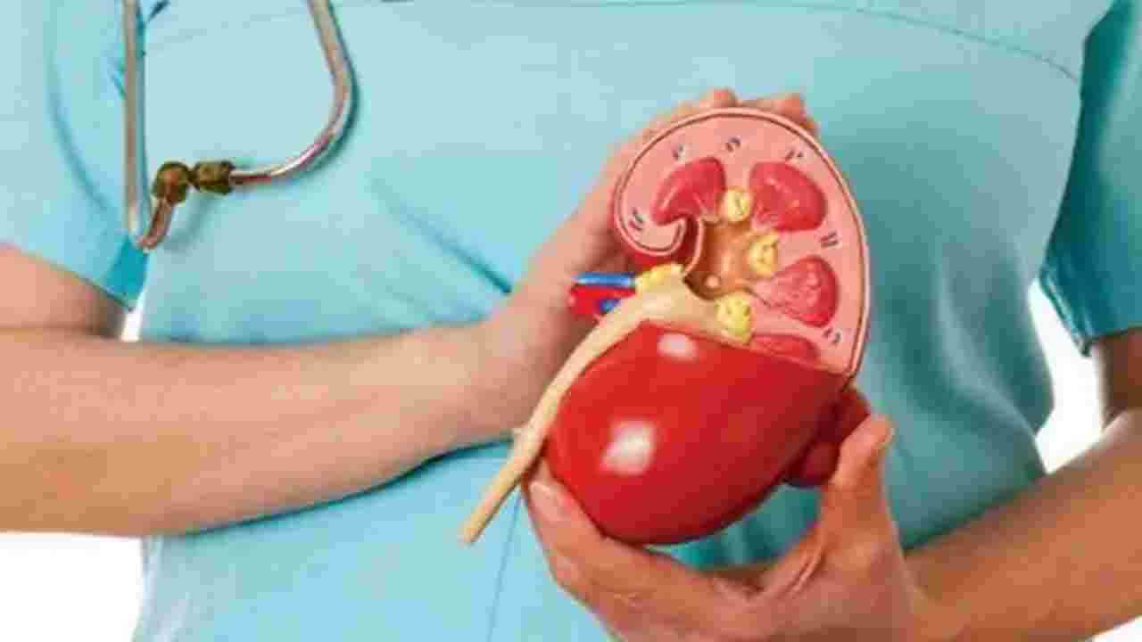 కిడ్నీ రాకెట్‌ కేసులో మత్తు వైద్యుడి అరెస్టు