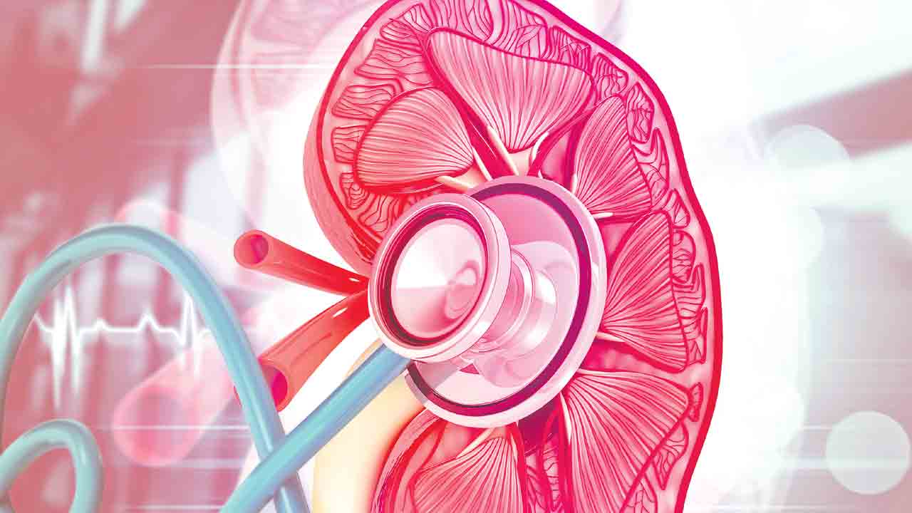 కిడ్నీపై అధికపోటు