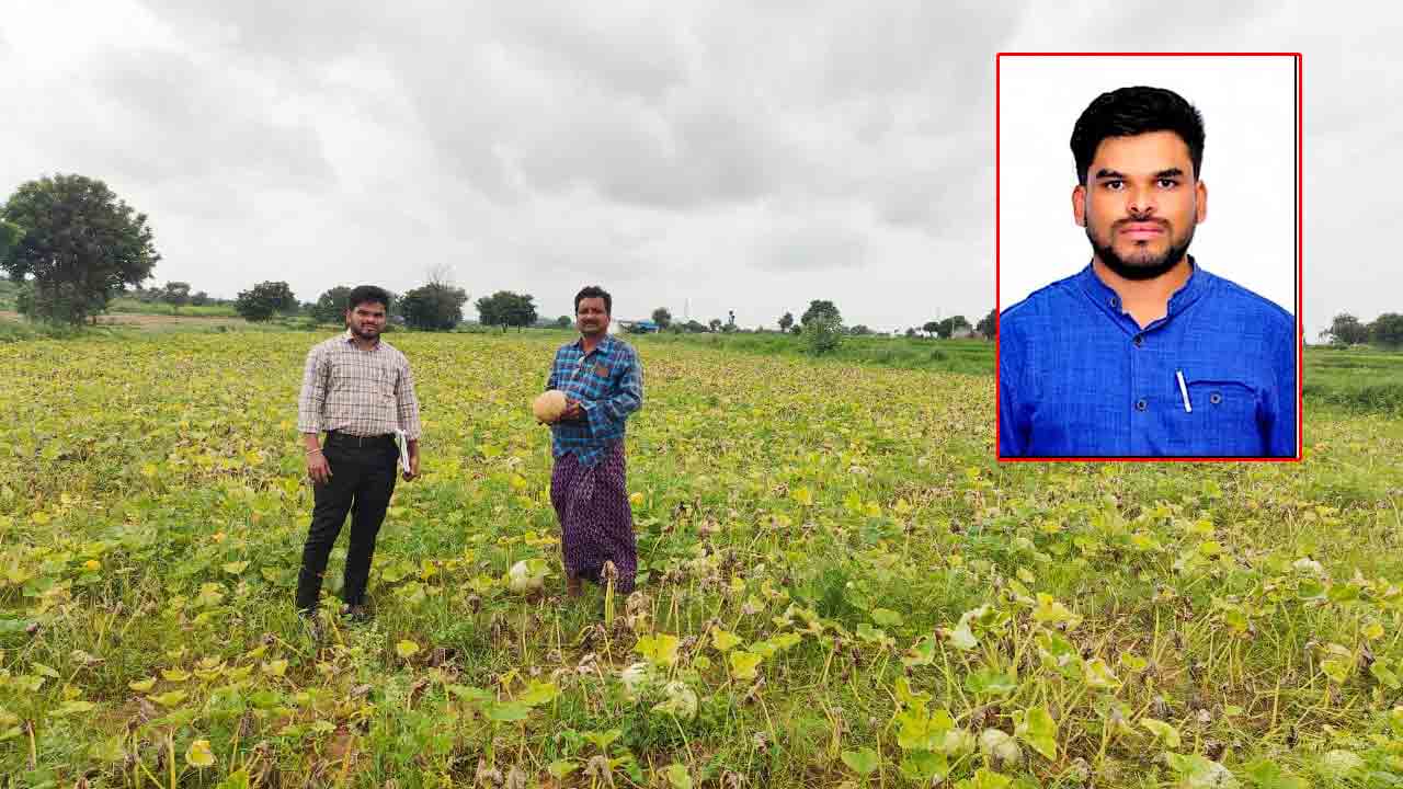 Precautions | అధిక వర్షాలతో దెబ్బతిన్న ఉద్యాన పంటల రైతులు పలు జాగ్రత్తలు తీసుకోవాలి  : అధికారి లక్ష్మణ్