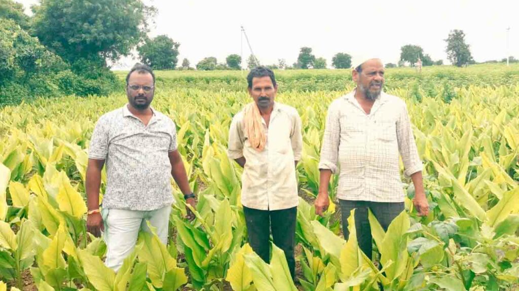 Kubeer Ao