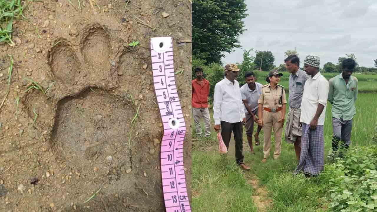 Leopard | చిరుత మళ్లీ వచ్చింది.. అడవిలోకి రావొద్దని అధికారుల హెచ్చరిక