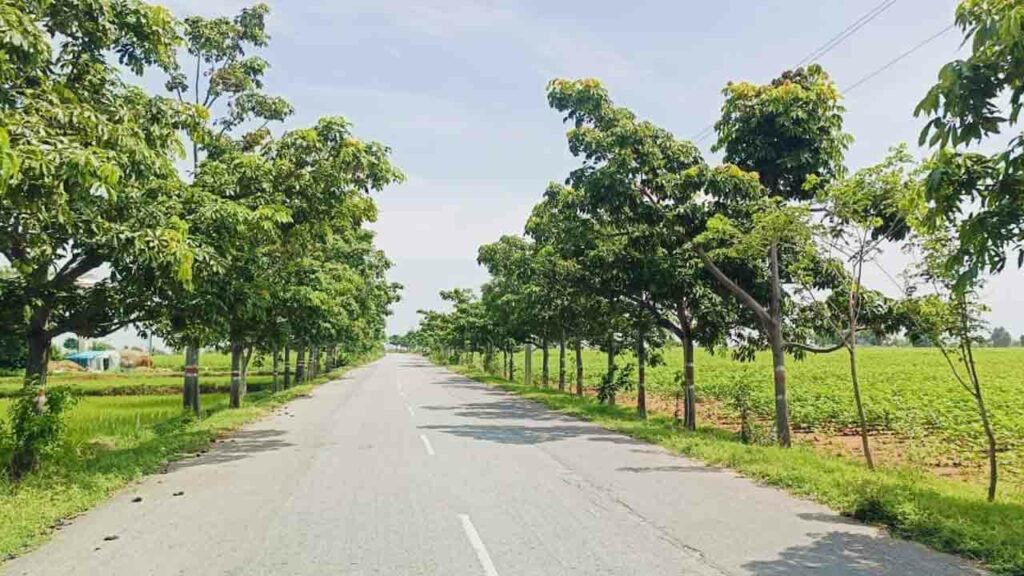 Mahabubnagar