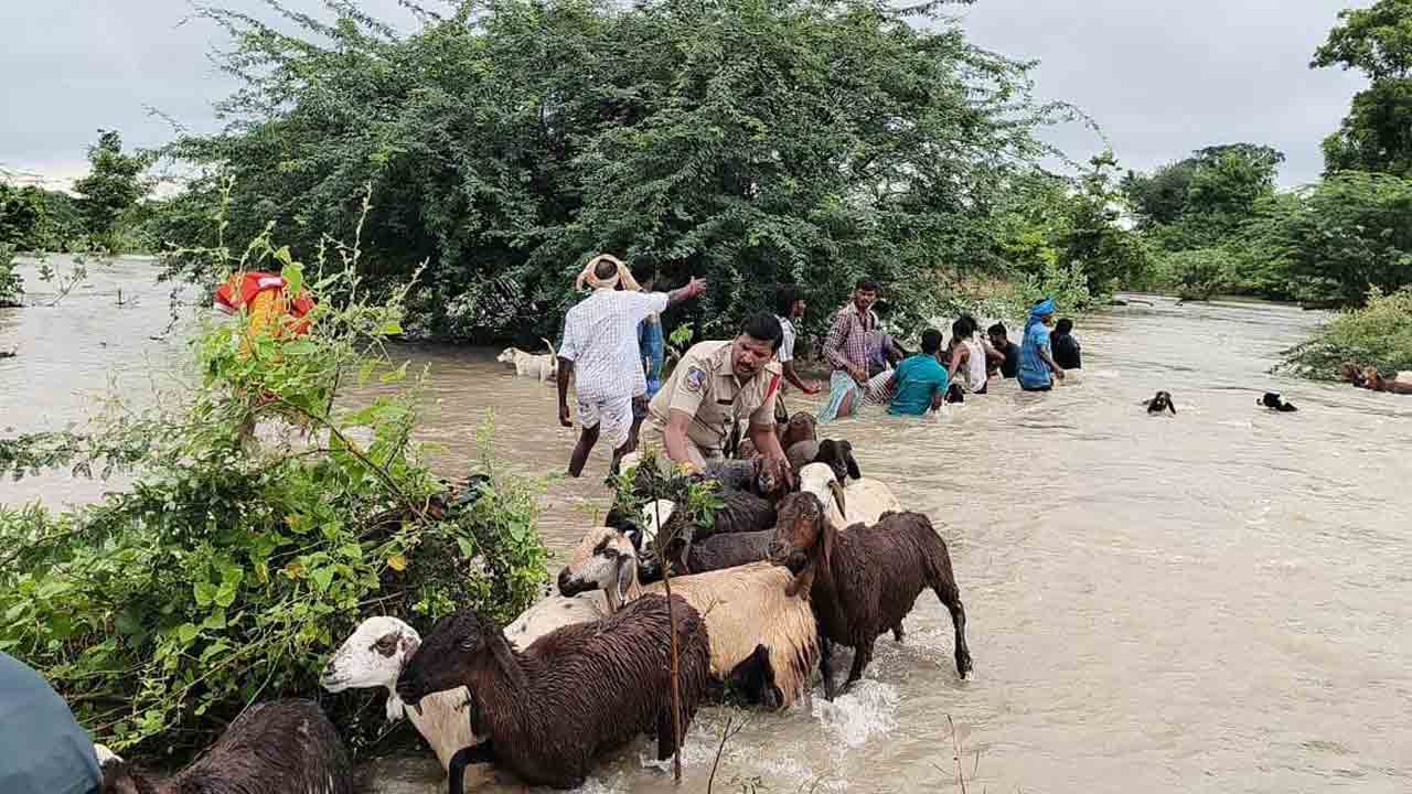 పెద్దవాగులో దిగ్బంధం