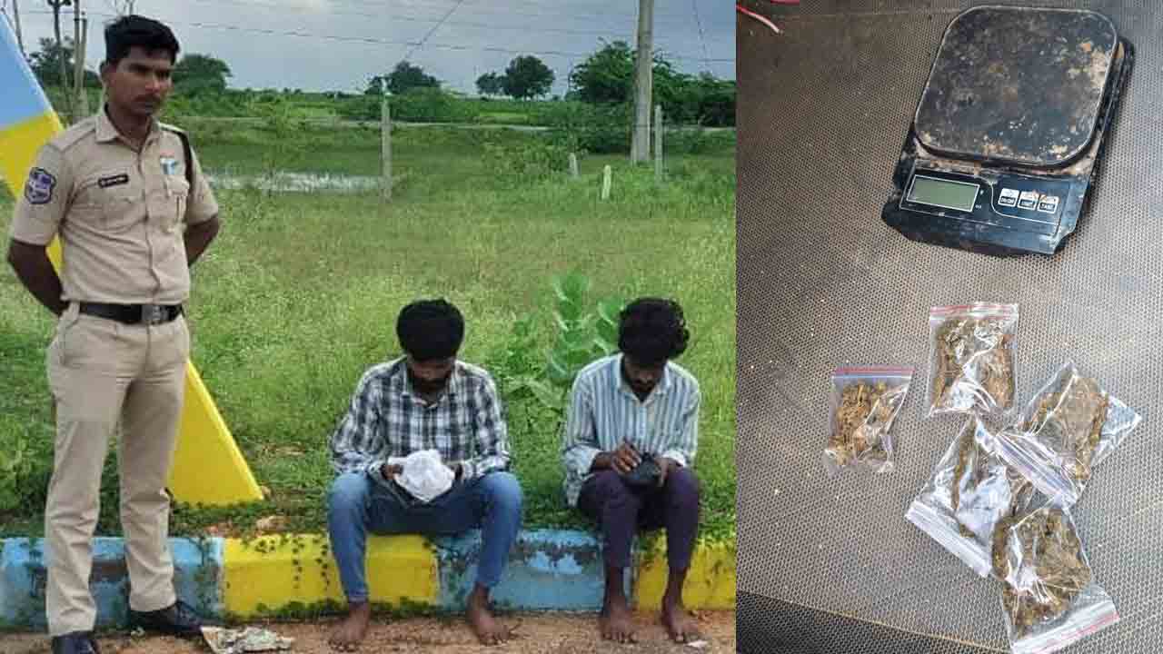 గంజాయి మత్తులో యువత