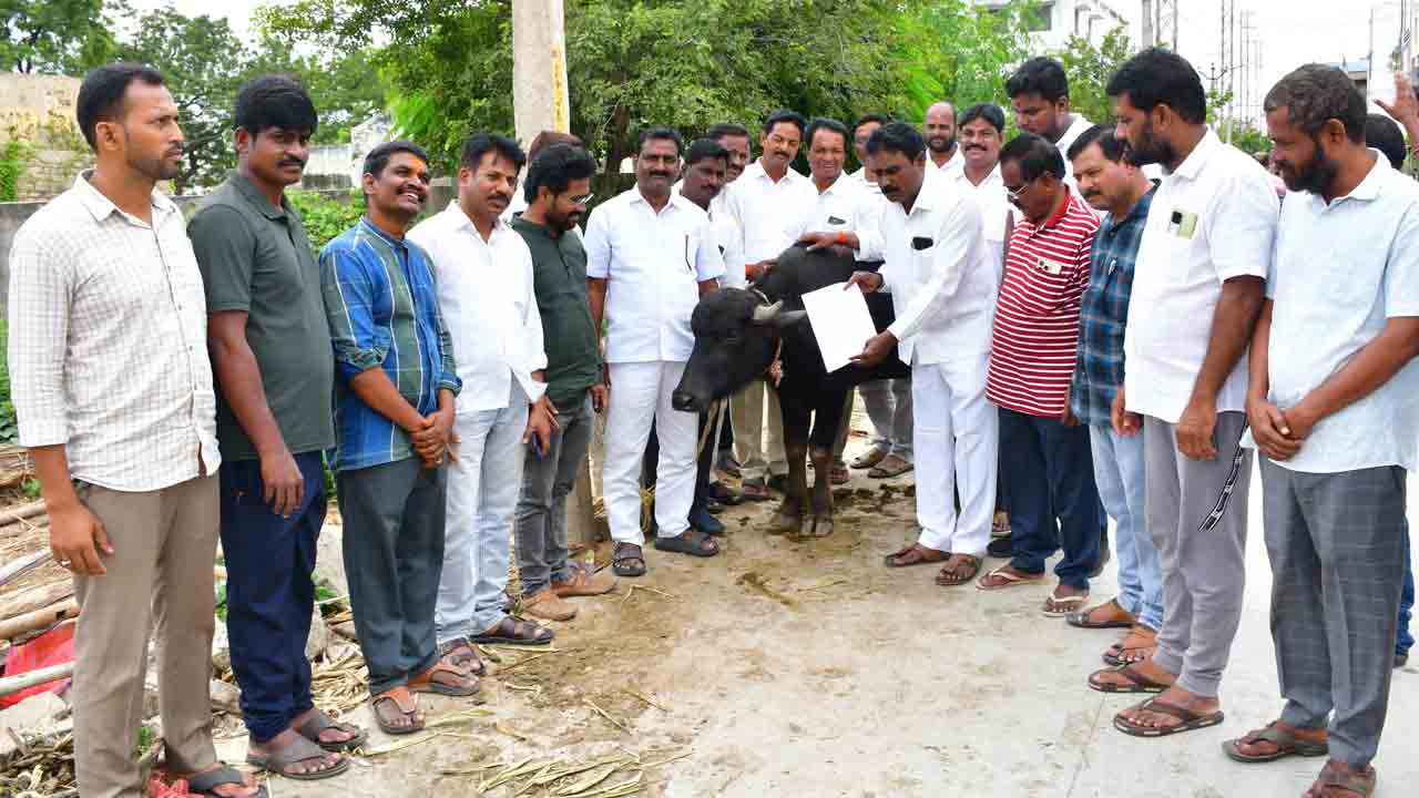 దున్నపోతుకు వినతిపత్రమిచ్చి..