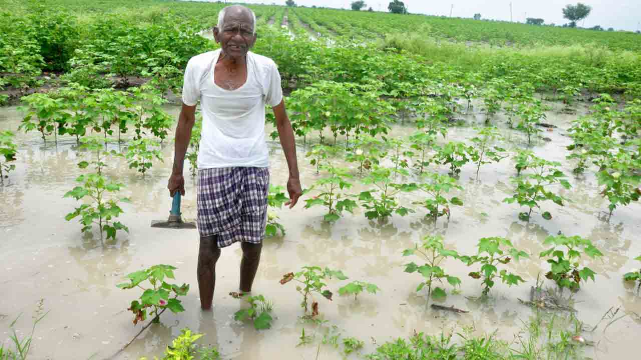వాన హైరానా