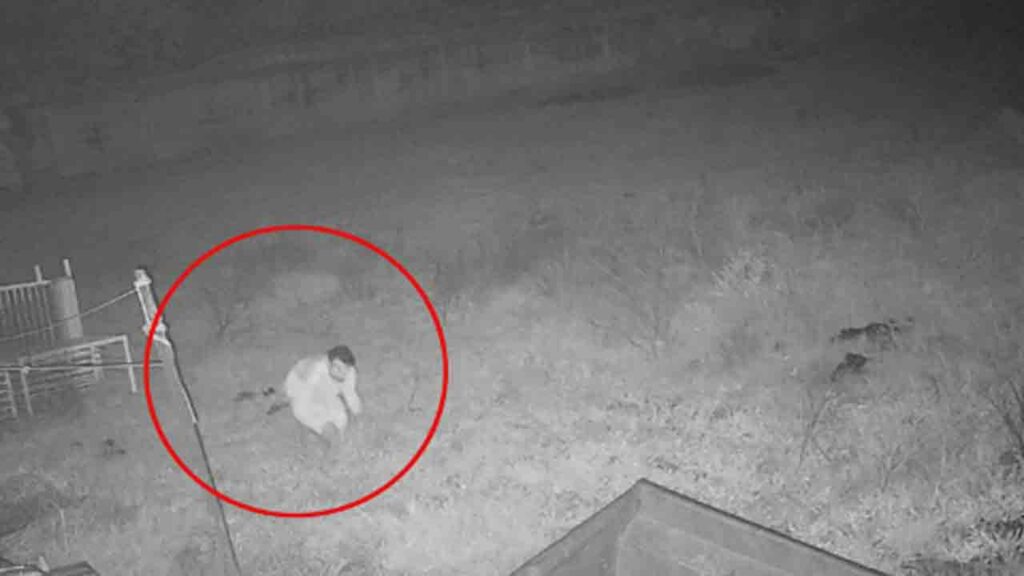 Man Steals Brass Elephant F