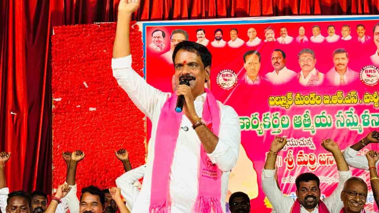 స్థానిక ఎన్నికల్లో గులాబీ జెండా ఎగరాలి