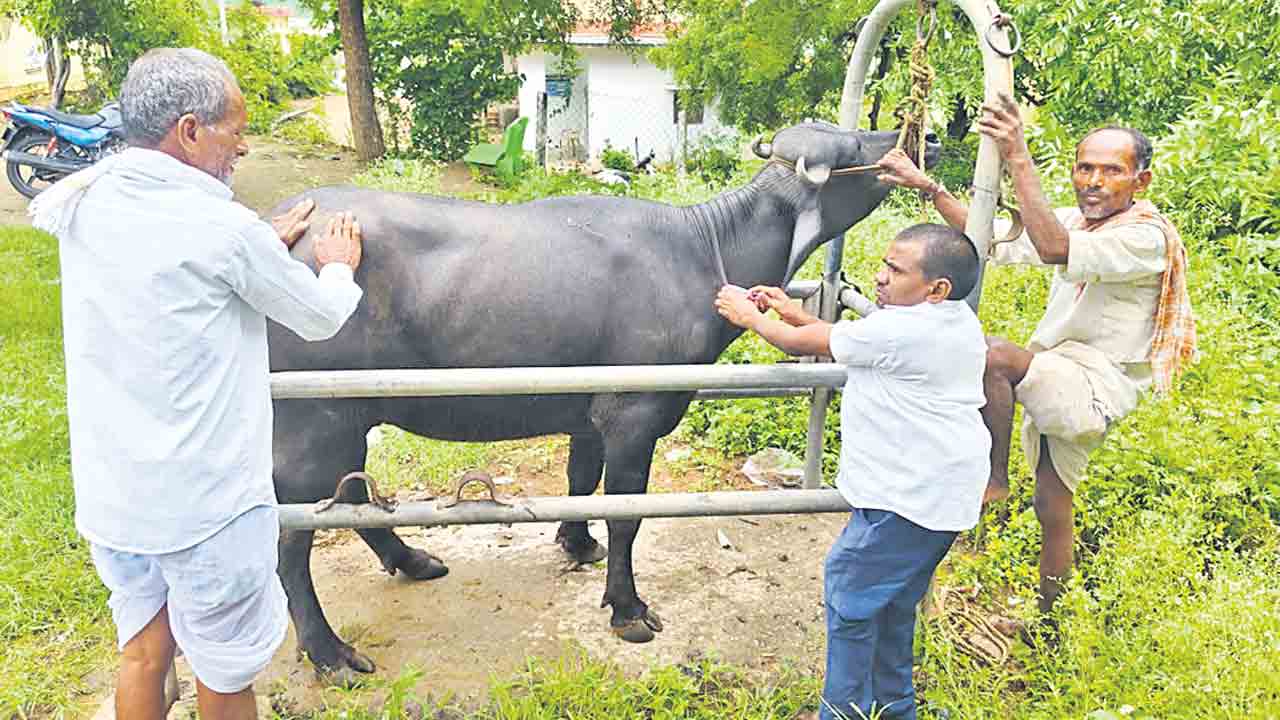 Medak